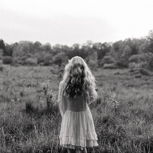 Chasing Fireflies Roslyn Witter