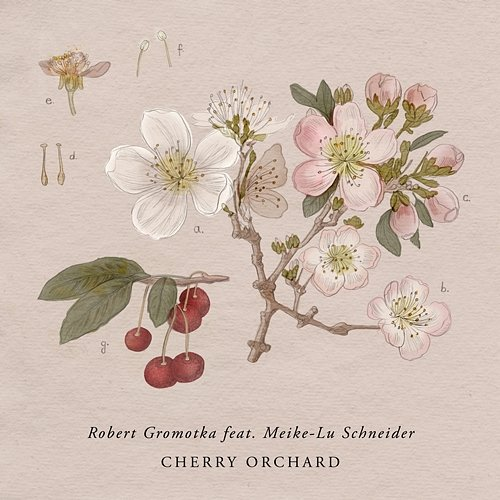 Cherry Orchard Robert Gromotka