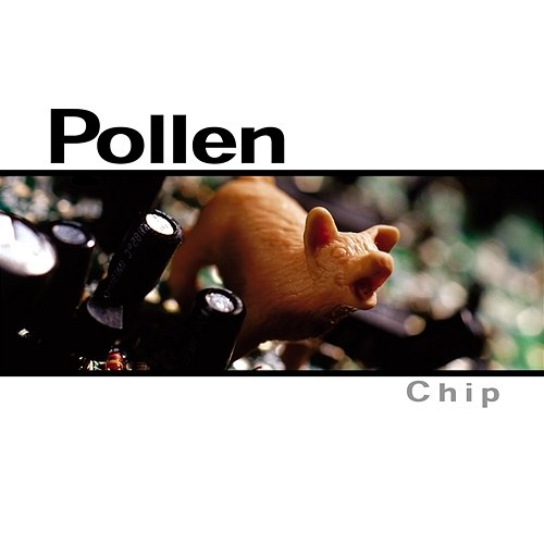 Chip Pollen