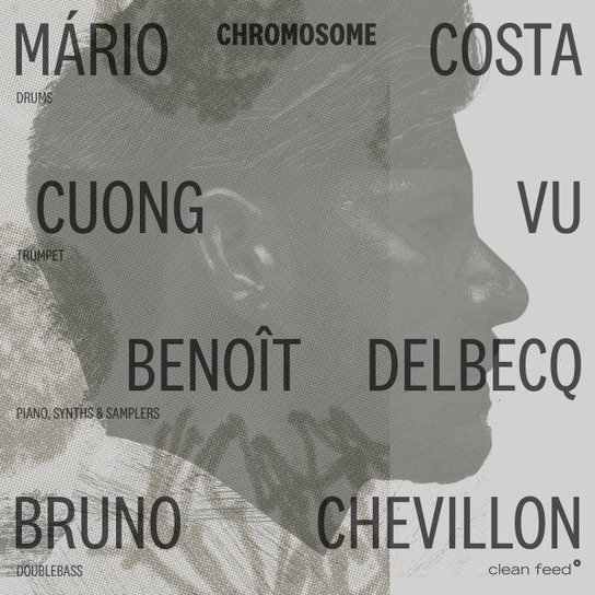 Chromosome Various Artists