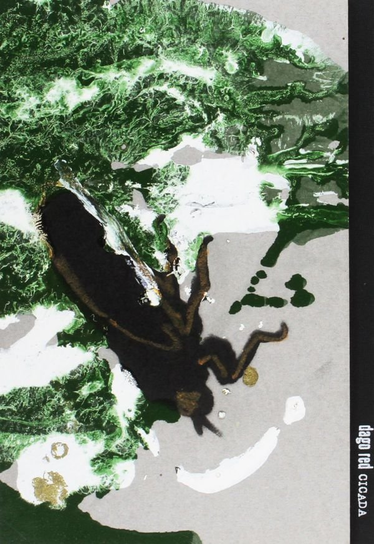 Cicada Various Artists