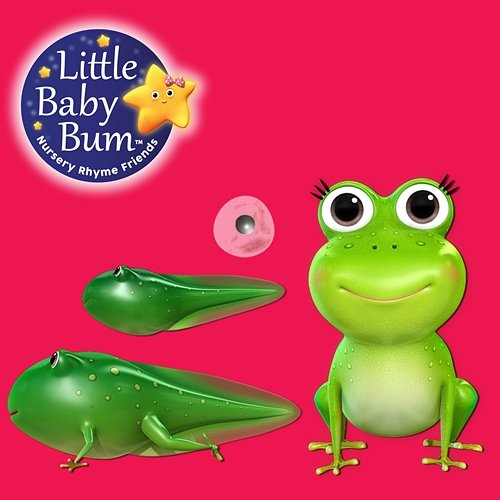 Ciclo da Vida de um Sapo Little Baby Bum em Português