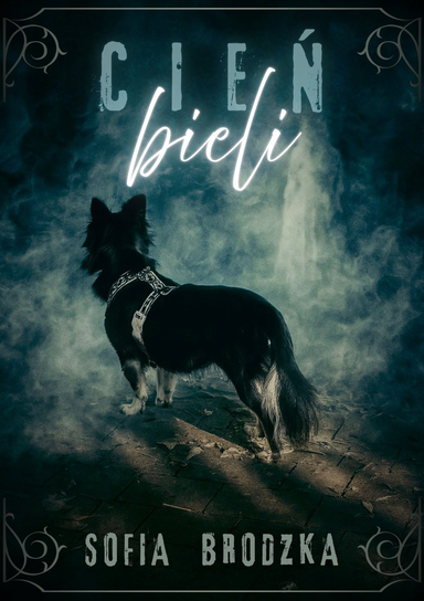 Cień bieli Brodzka Sofia