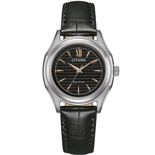 Citizen FE2110-14E Eco-Drive Citizen
