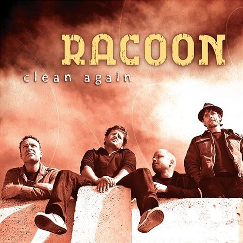 Clean Again Racoon