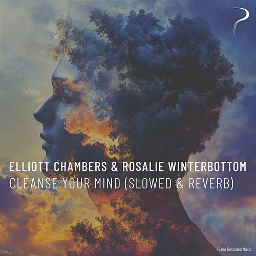 Cleanse your Mind Elliott Chambers, Rosalie Winterbottom