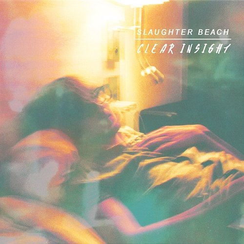 Clearinsight Slaughter Beach
