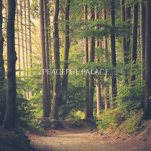 Cloud Space Peaceful Palace