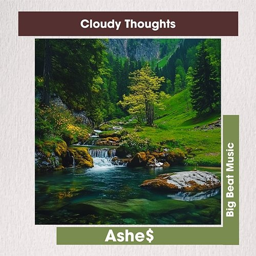 Cloudy Thoughts Ashe$