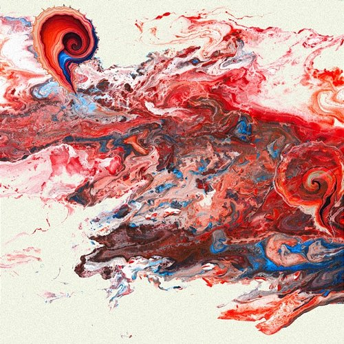 Cochlea Hujdy