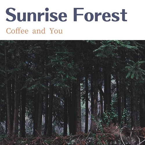 Coffee and You Sunrise Forest