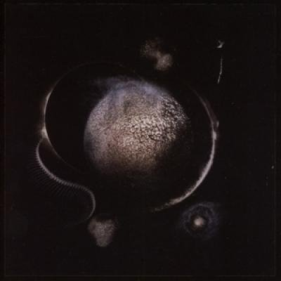 Cold Black Suns Enthroned
