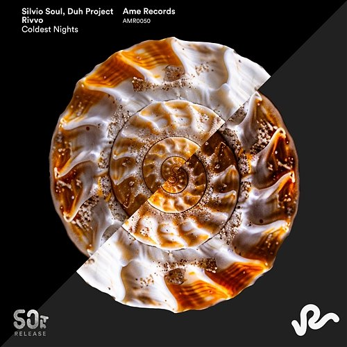 Coldest Nights Silvio Soul, RIVVO & DUH PROJECT