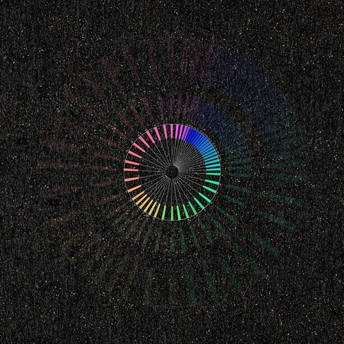 Coloroid Trigg & Gusset
