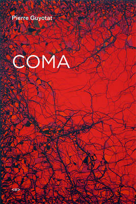 Coma Guyotat Pierre