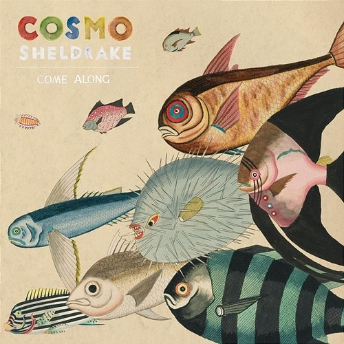 Come Along Cosmo Sheldrake
