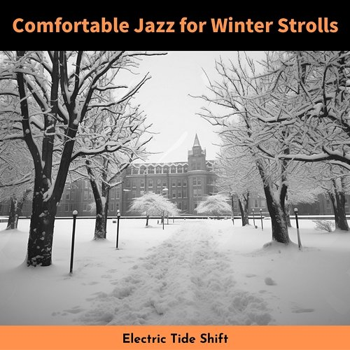 Comfortable Jazz for Winter Strolls Electric Tide Shift