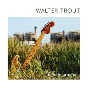 Common Ground, płyta winylowa Trout Walter