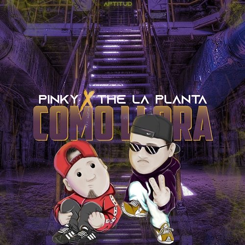 Como Llora Pinky SD