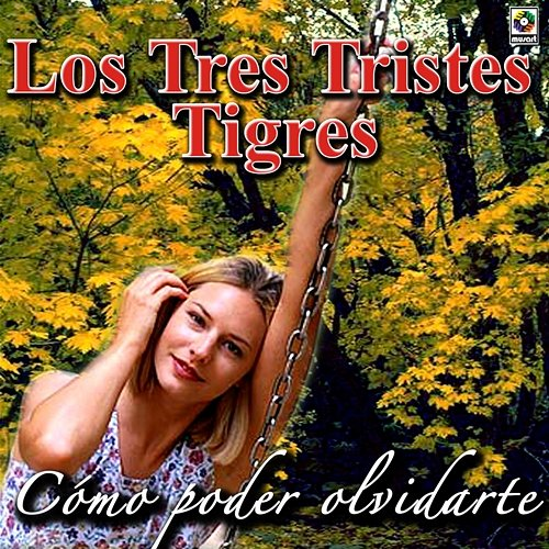 Cómo Poder Olvidarte Los Tres Tristes Tigres