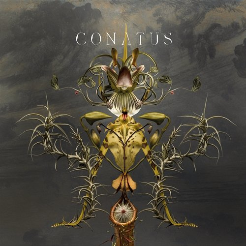 Conatus Joep Beving