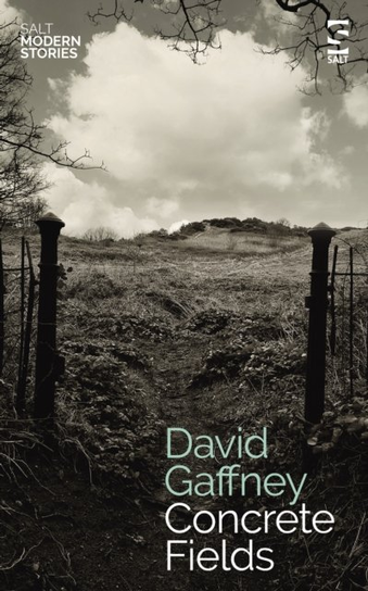 Concrete Fields David Gaffney