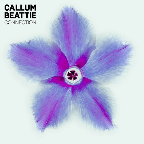 Connection Callum Beattie