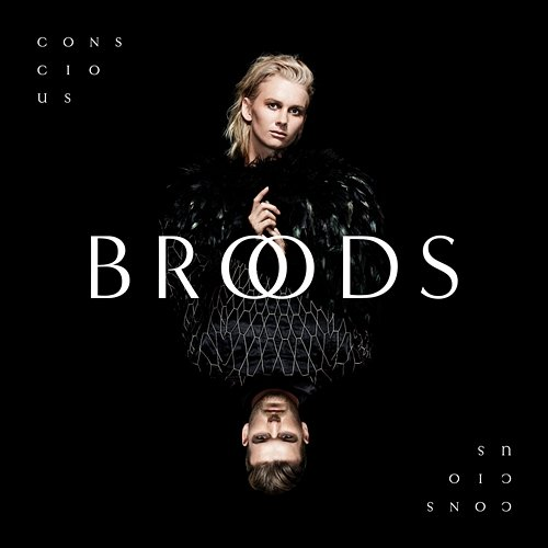Conscious Broods