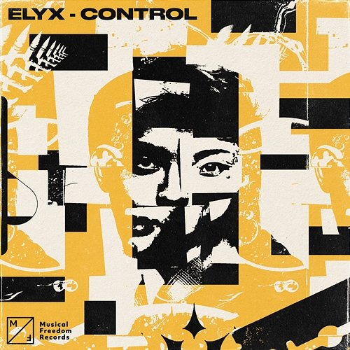 Control ELYX