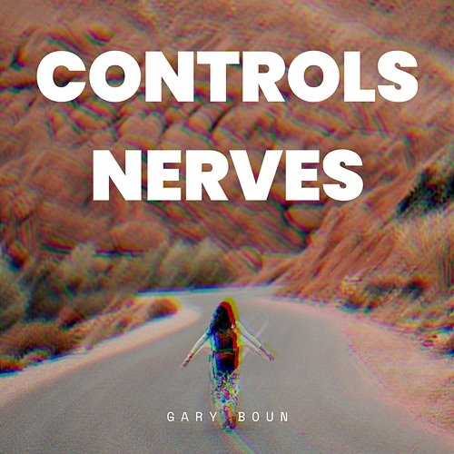 Controls Nerves Gary Boun