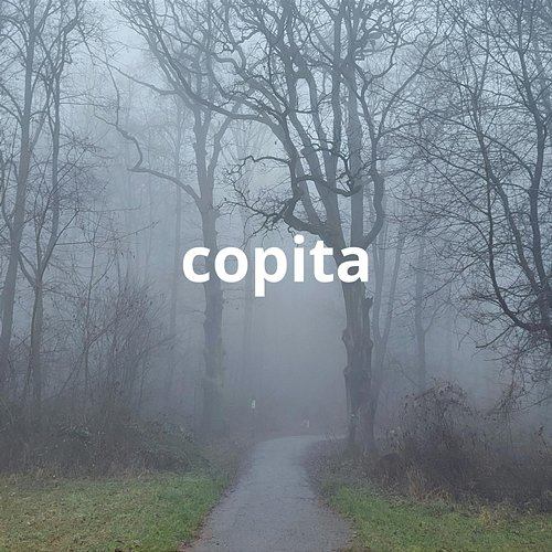 copita torres la fama