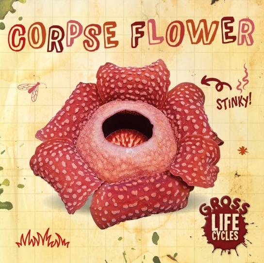 Corpse Flower William Anthony