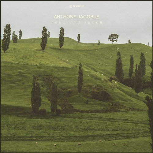 Counting Sheep Anthony Jacobus