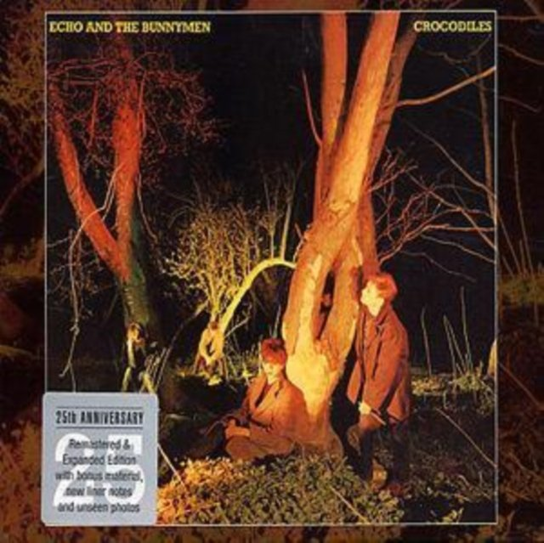 Crocodiles Echo & The Bunnymen