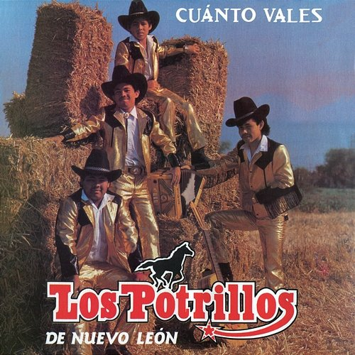 Cuánto Vales Los Potrillos De Nuevo Leon
