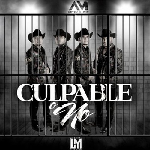 Culpable O No Los Mitre