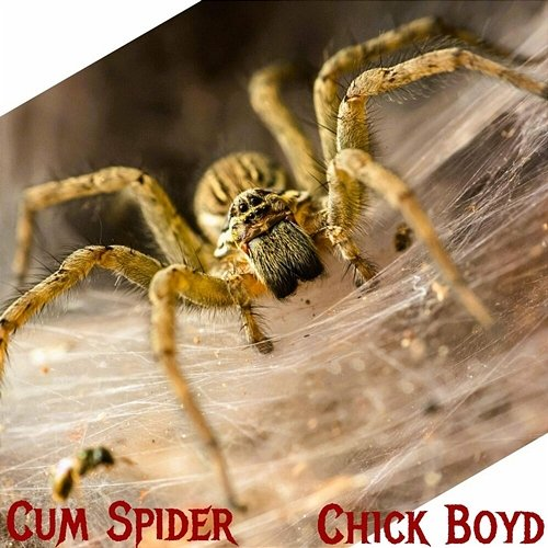 CuM SpIdER Chick Boyd