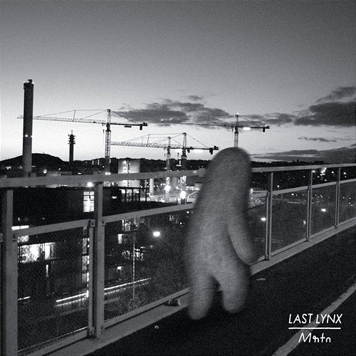 Curtains Last Lynx