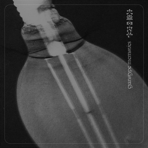 cyanotype memories Hinako Omori
