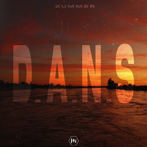 D.A.N.S Zummer