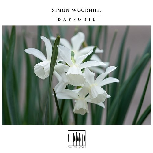 Daffodil Simon Woodhill