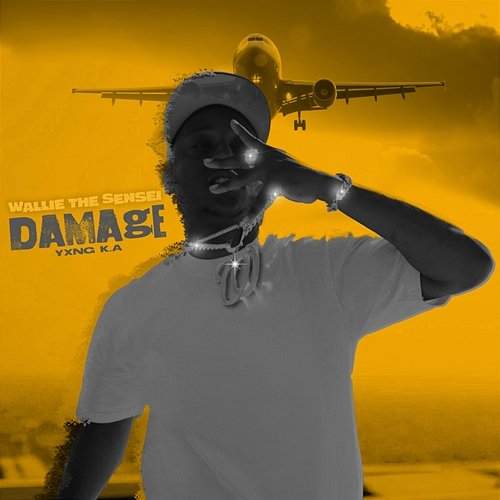 Damage Wallie the Sensei, YXNG K.A