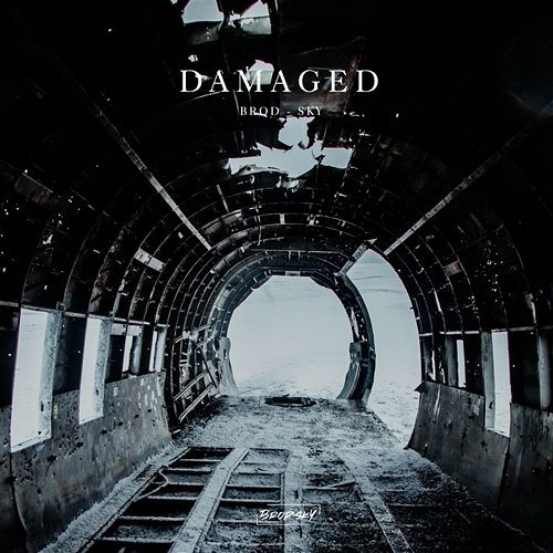 Damaged Brod-Sky