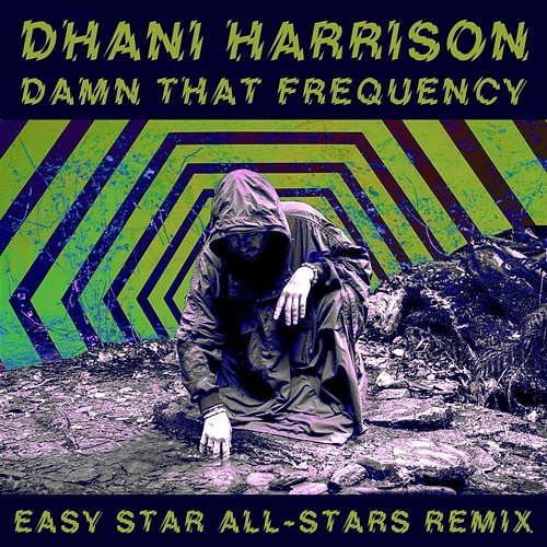 Damn That Frequency Dhani Harrison
