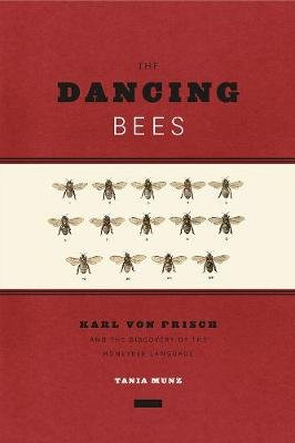 Dancing Bees Munz Tania
