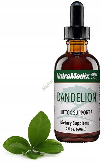 Dandelion NutraMedix 60ml NutraMedix