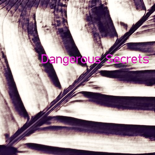 Dangerous Secrets Agnes Adan