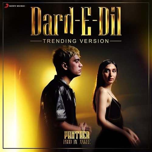 Dard-E-Dil Panther, Ankee