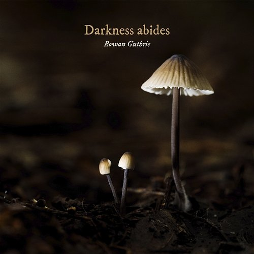 Darkness abides Rowan Guthrie