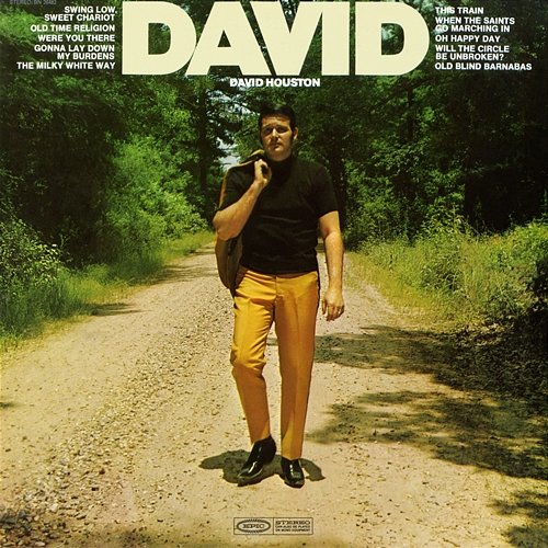 David David Houston
